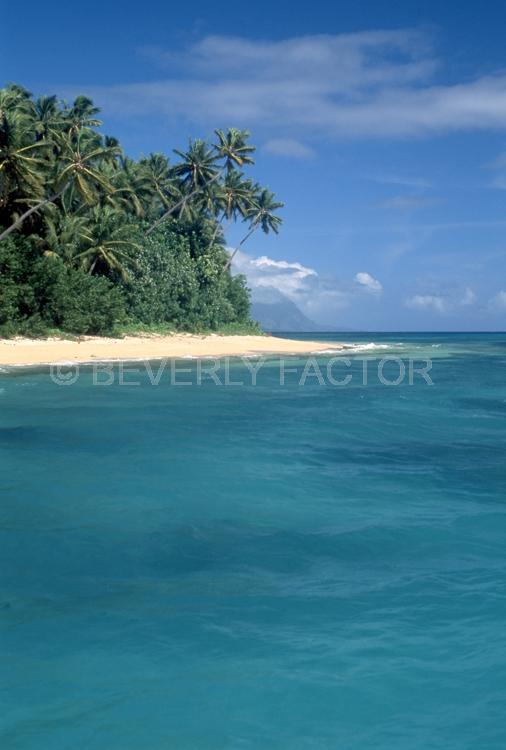 Island;fiji;blue water;Palm trees;Blue skys;ocean